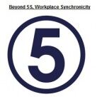 Beyond 5S - Creating a Lean Culture Revoultion
